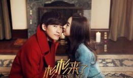 杉杉来了电视剧全集在线观看视频,甜蜜爱情喜剧，笑中带泪的青春回忆